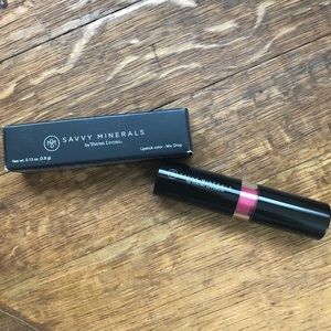 Savvy Minerals Lipstick